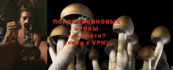 герыч Алексин
