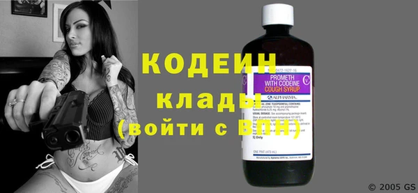 прущие грибы Бикин