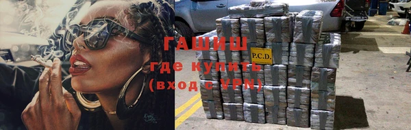 винт Инта